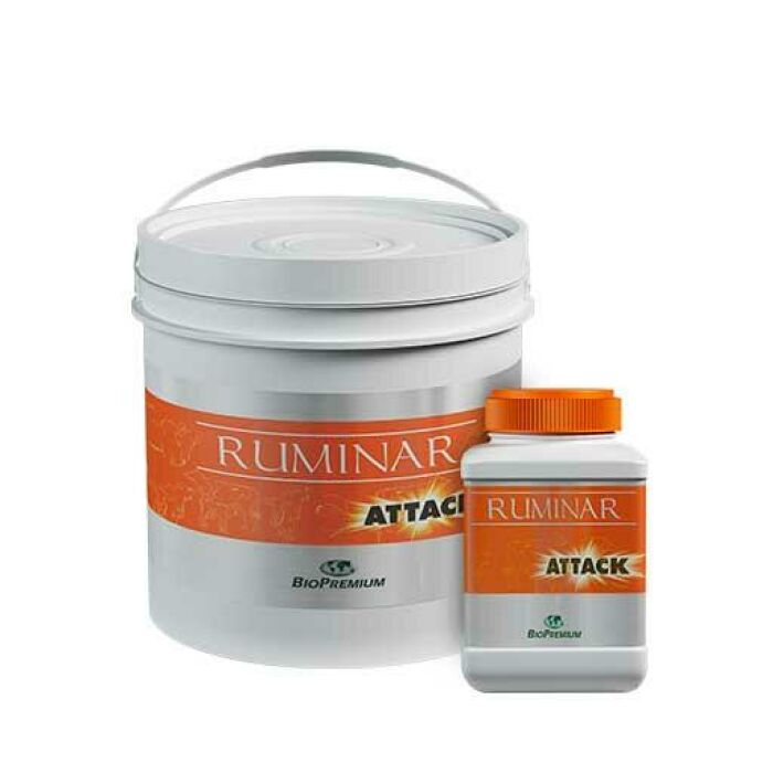 Imagem de RUMINAR ATTACK