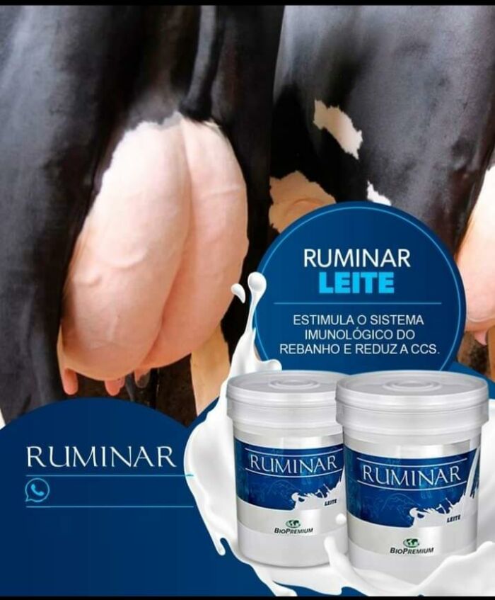 Imagem de RUMINAR LEITE