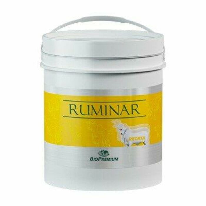 Imagem de RUMINAR RECRIA