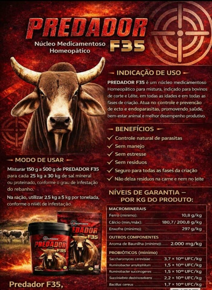 Imagem de PREDADOR F35