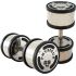 Imagem adicional 7 do item Dumbbell  12KGS Com Acabamento em Aço Inox