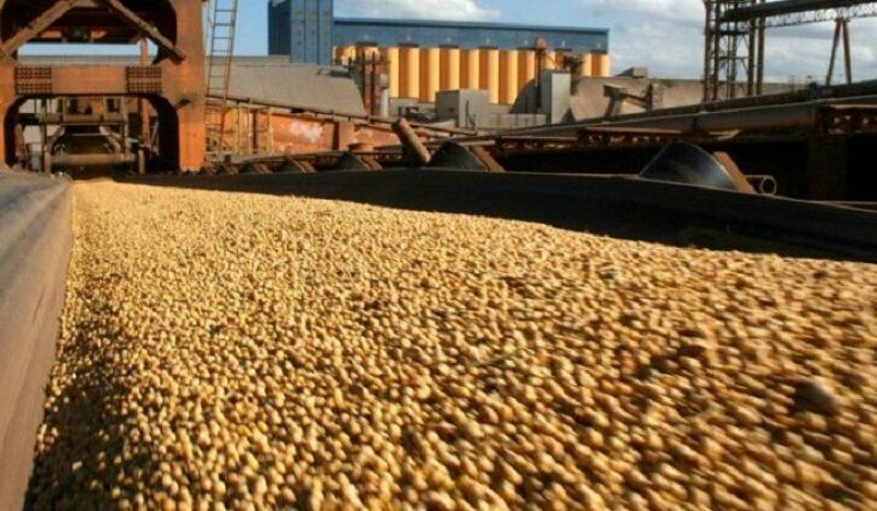 Ilustração da notícia MS colhe 3,4 milhões de hectares de soja, mas ritmo fica abaixo da média dos últimos cinco anos