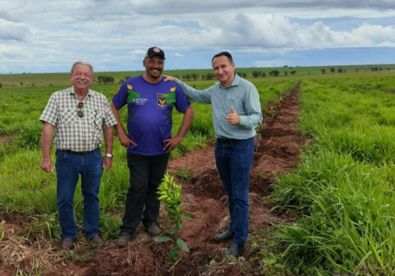 Imagem ilustrativa da matéria Mega plantio de laranja avança e projeta Paraíso das Águas no mapa da citricultura