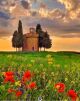 Imagem adicional 5 do item Uma Excelência na Toscana