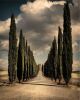 Imagem adicional 14 do item Uma Excelência na Toscana