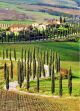Imagem adicional 17 do item Uma Excelência na Toscana