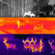 Imagem adicional 4 do item MONÓCULO DE VISÃO TÉRMICA NOTURNA SCOUT TK - FLIR