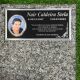 Imagem adicional 0 do item Placa ACM 340 - 31cm x 15cm (Com foto)