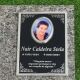 Imagem adicional 0 do item Placa ACM 380 - 19cm x 25cm (com foto)