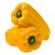 Imagem adicional 5 do item Cebola