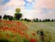 Imagem adicional 2 do item Jardins do Monet (Giverny)
