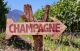 Imagem adicional 1 do item Rota do Champagne: visitas de caves e degustação