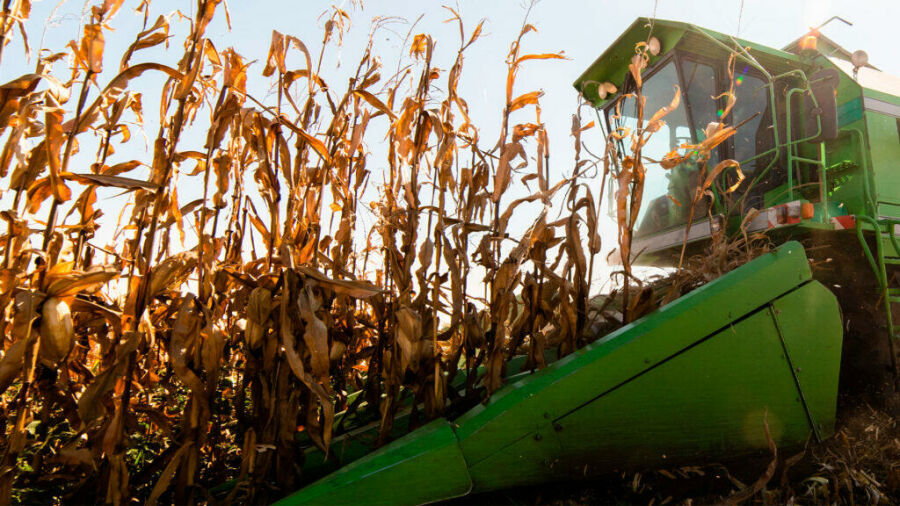 Imagem Como-funciona-a-colheitadeira-de-milho-e-quais-sao-suas-principais-partes-1024x576