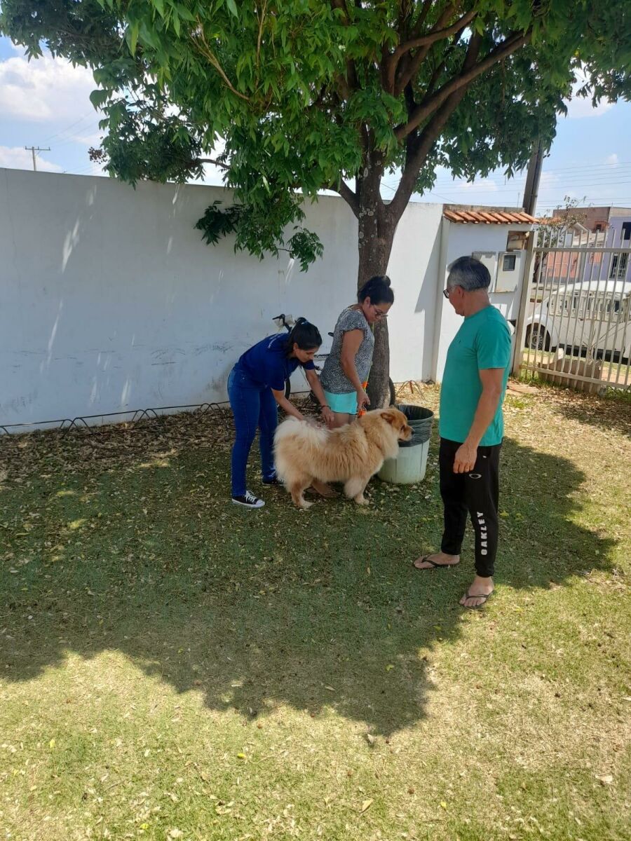 Imagem ACHAPADÃOVACINA1