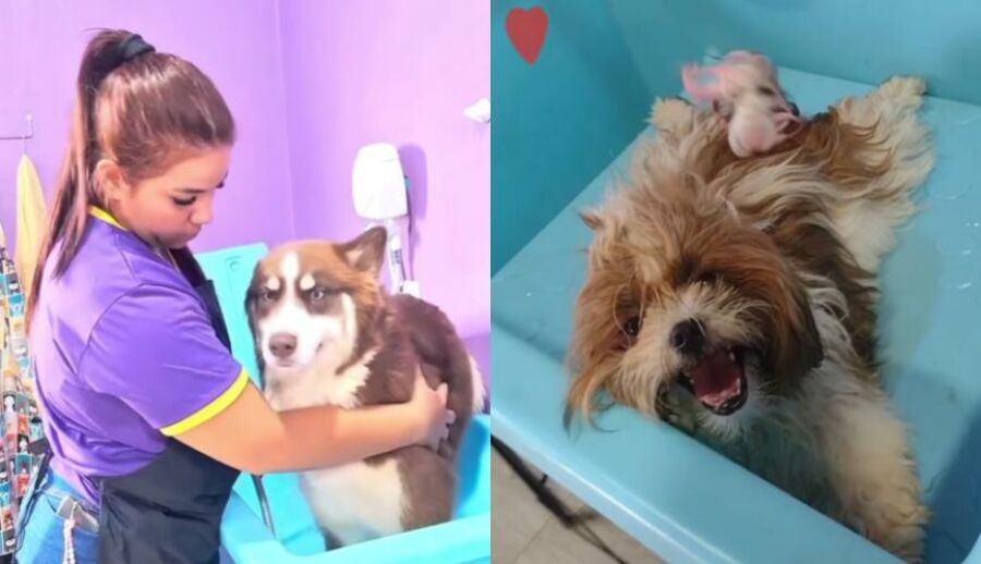 Imagem imagem_2025-06-23_011700353