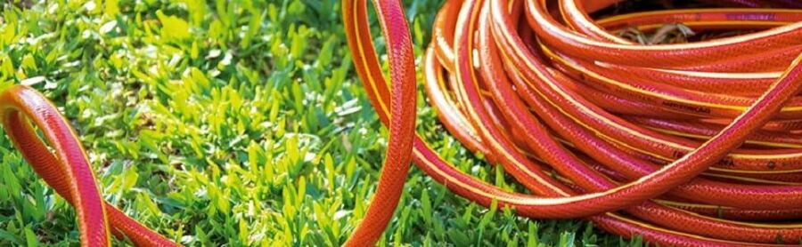 Imagem mangueira%20barata%20para%20seu%20jardim-superfuturo