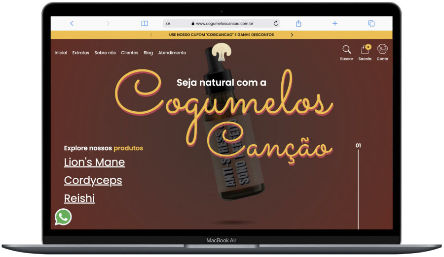 Imagem cogumelos_cancao