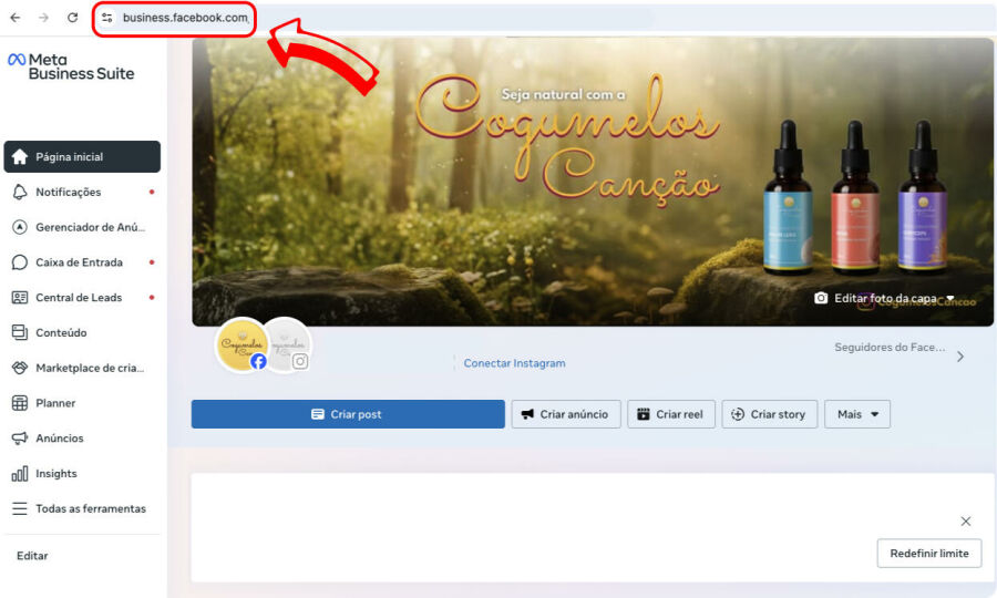 Imagem imagem-meta-business-configuracao-paginas-face-e-insta