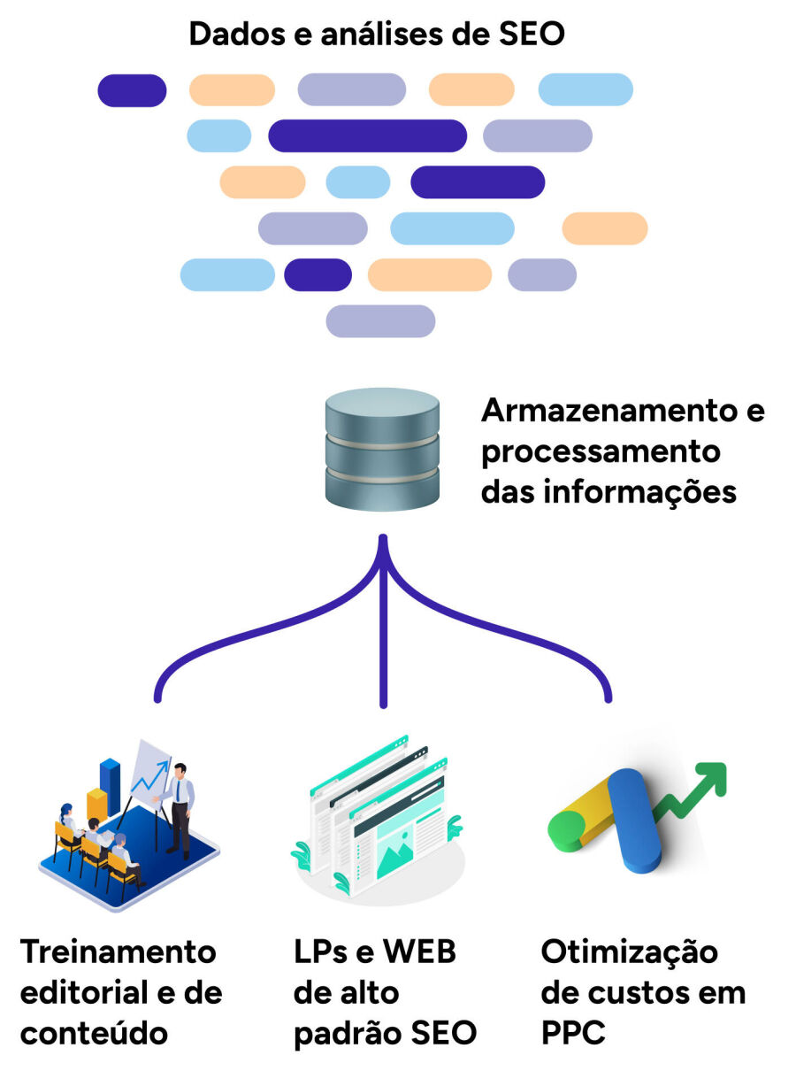 Imagem seo_proc_dados