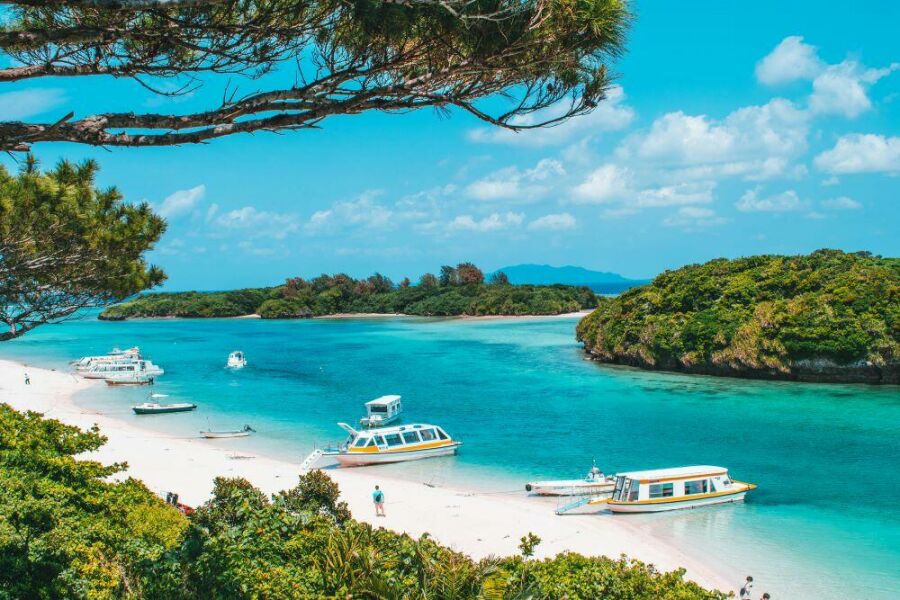 Image What Okinawa has to teach us about healthy aging