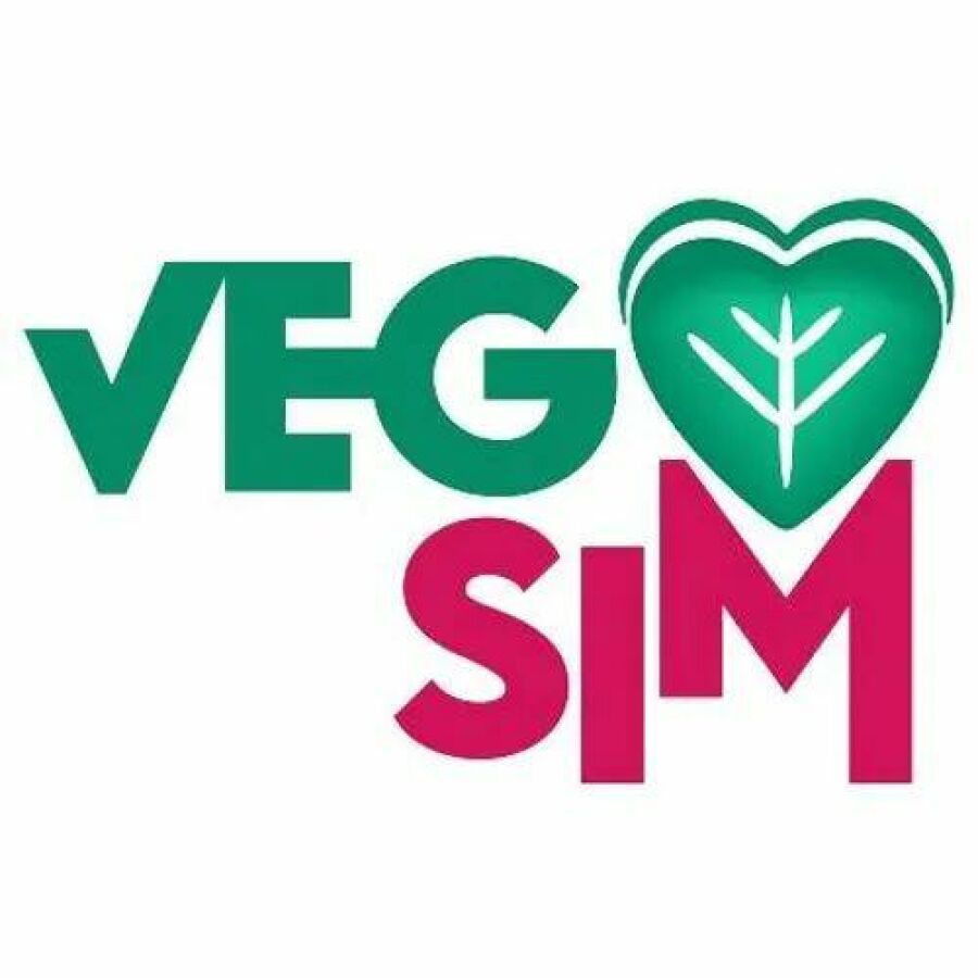 Vegsim Image