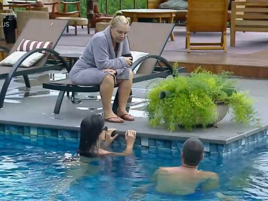 Imagem flor-voto-fazenda-2