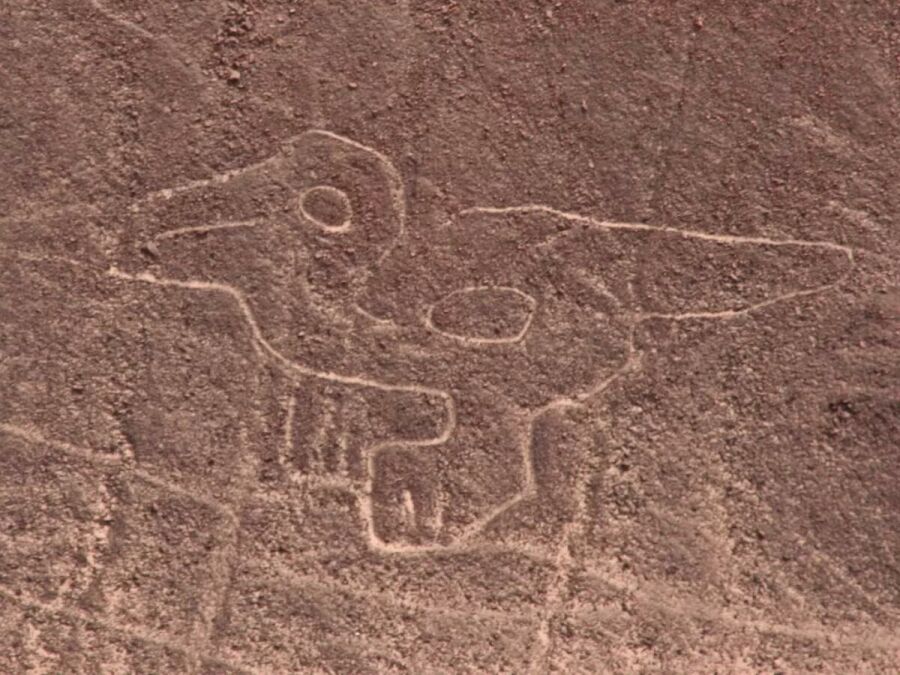 Imagem nazca