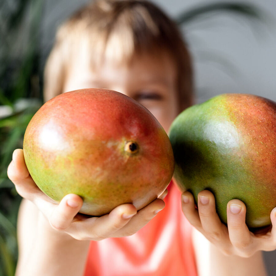 Imagem um-menino-com-uma-fruta-de-manga-nas-maos