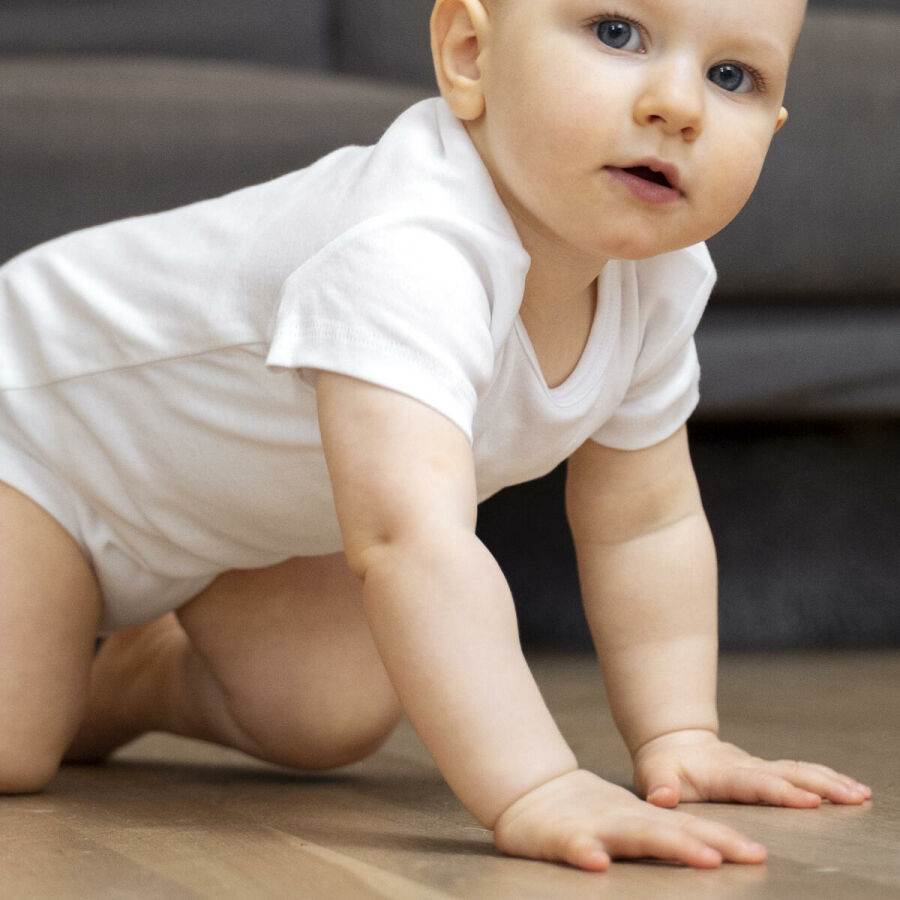 Imagem bebe-comecando-a-engatinhar