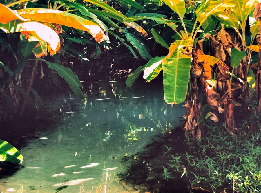 Imagem adrenalama-jalapao-1-74