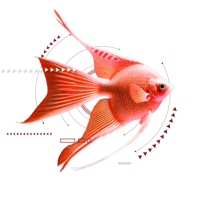 Peixe 1