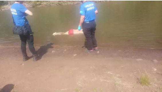 Imagem de compartilhamento para o artigo Após discussão em pescaria, polícia encontra corpos boiando em Rio de MS da MS Todo dia