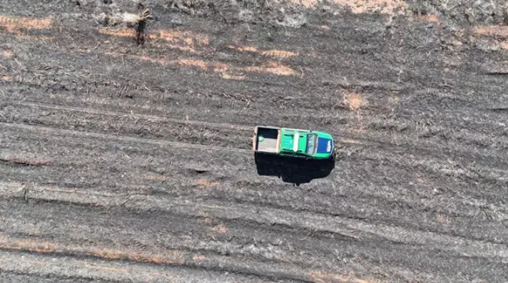 Imagem de compartilhamento para o artigo PMA aplica mais de R$ 29 milhões em multas por queimadas em MS em dois meses da MS Todo dia