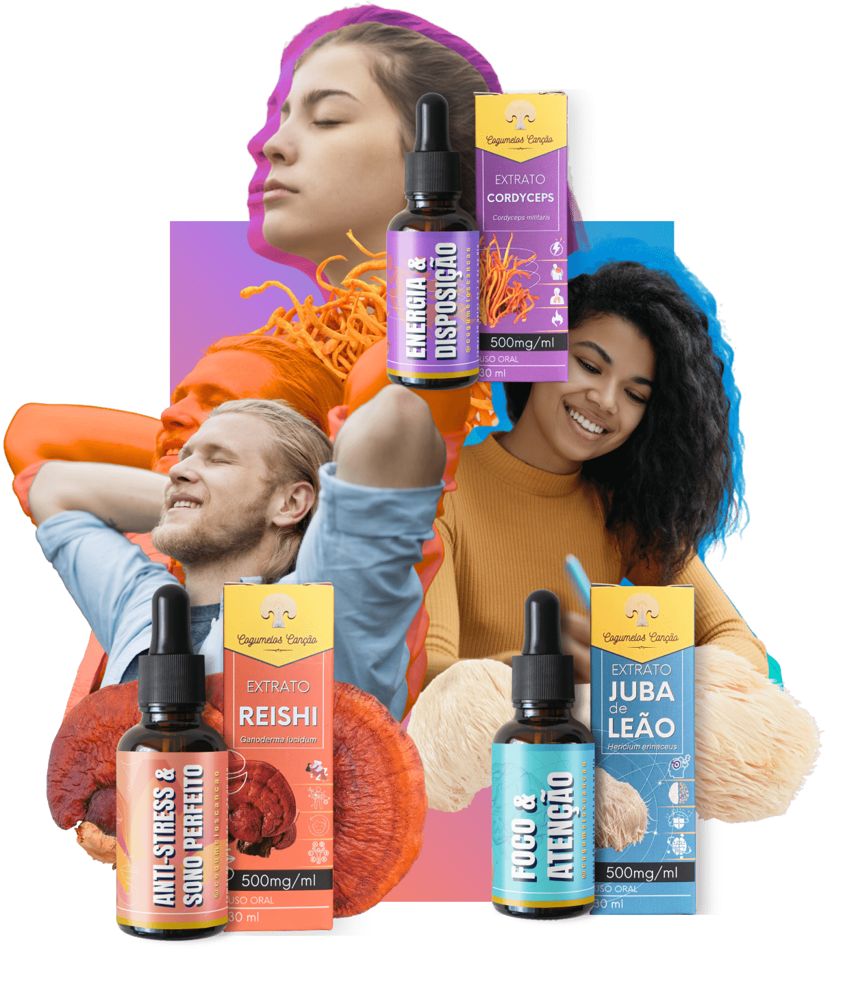Imagem de indicação de Kit Bio Hacking: 1 Juba de Leão + 1 Cordyceps + 1 Reishi