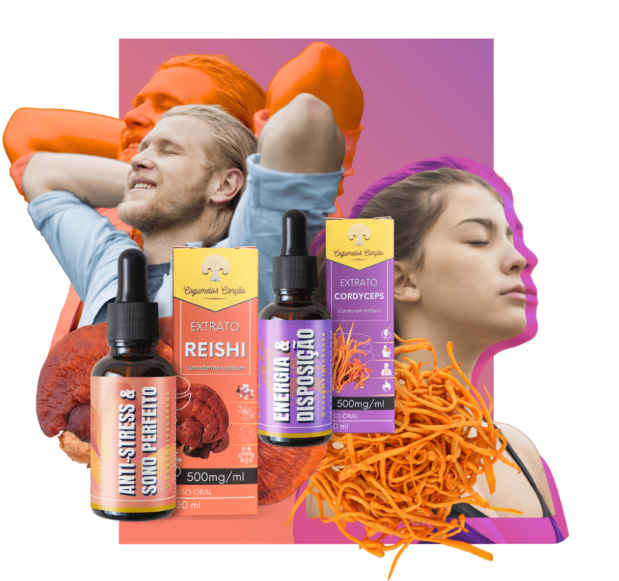 Imagem de indicação de Harmonia Energética: 1 Cordyceps + 1 Reishi
