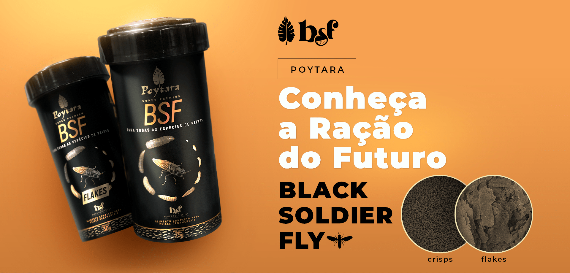 Banner Black Soldier Fly