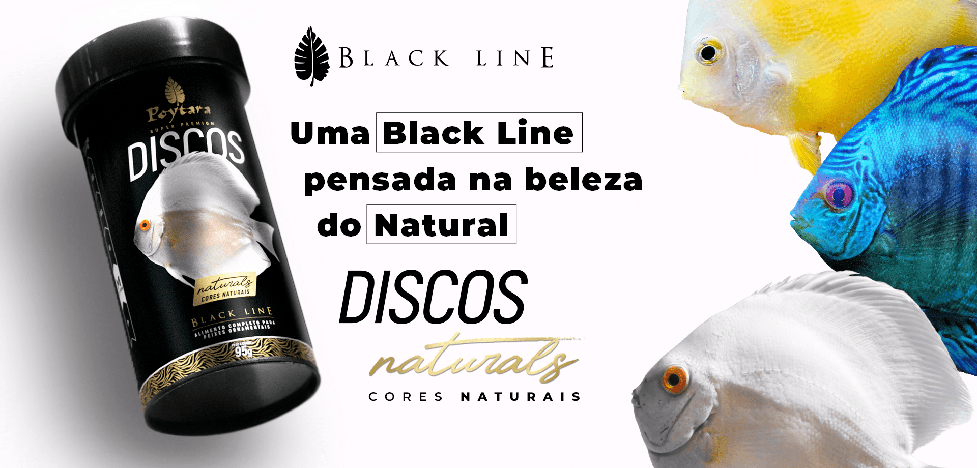Banner Black Line Naturals