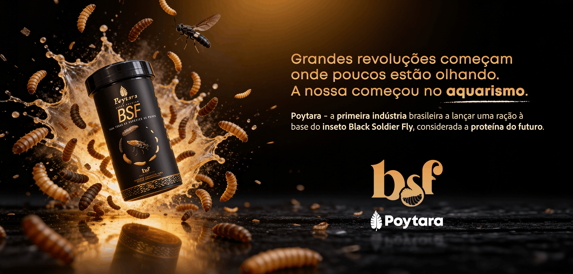 Banner Black Soldier Fly