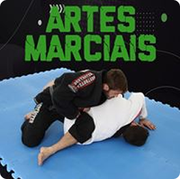 Artes Marciais