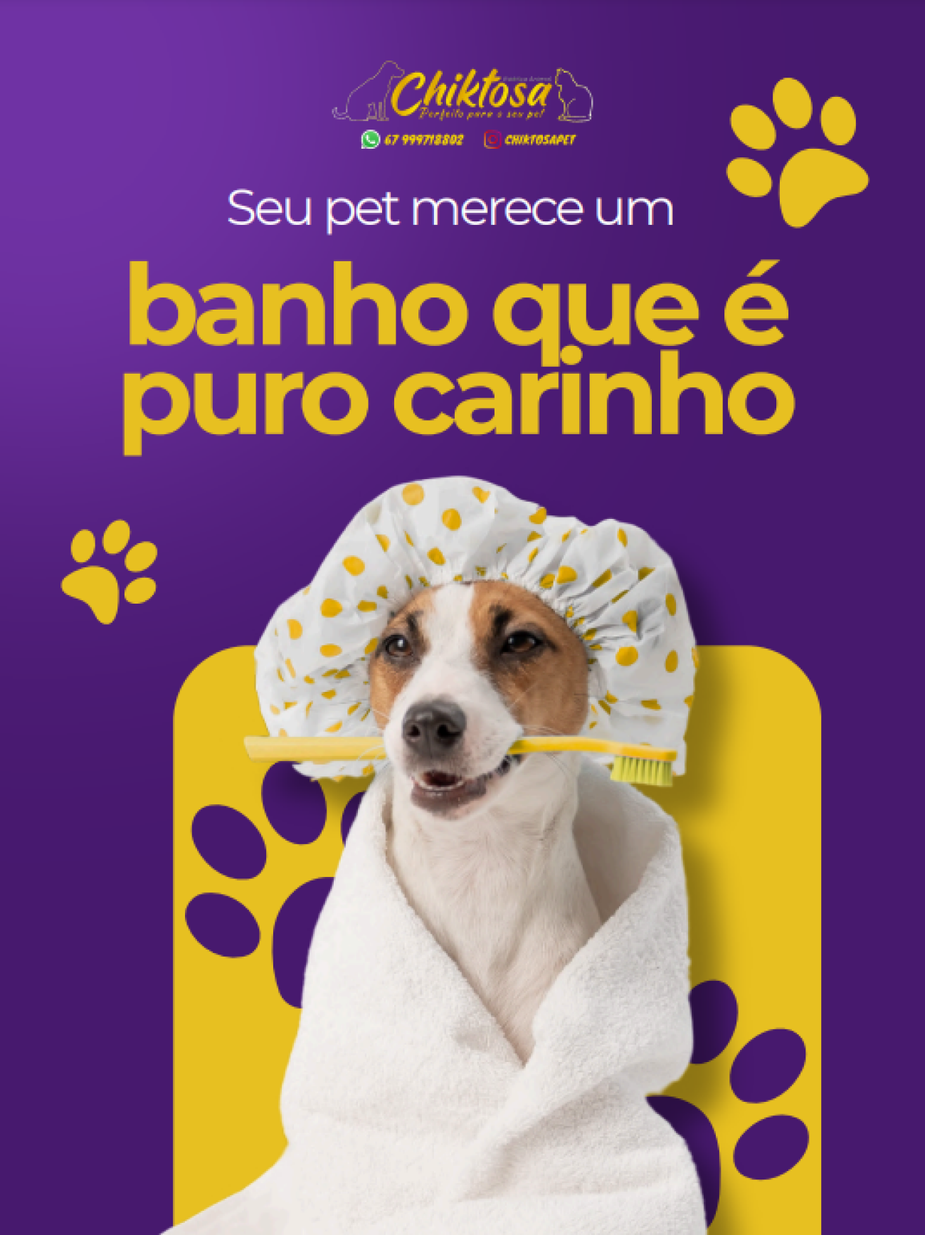 Ilustração da notícia Chiktosa Pet Shop vai sortear pacote quinzenal com banho, hidratação e táxi dog em Costa Rica da MS Todo dia