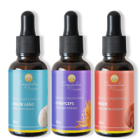 Imagem de Kit Bio Hacking: 1 Juba de Leão + 1 Cordyceps + 1 Reishi