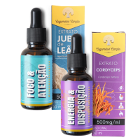 Imagem de Impulso Perfeito: 1 Juba de Leão + 1 Cordyceps