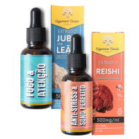 Imagem de Zen Focus: 1 Juba de Leão + 1 Reishi