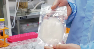 Imagem da notícia Pesquisadores desenvolvem carne de peixe em laboratório que pode ajudar na sustentabilidade e segurança alimentar