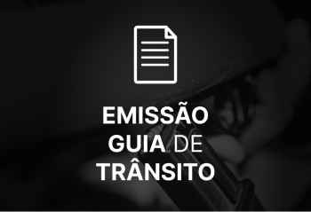 Imagem do produto Emissão de Guia de Trânsito