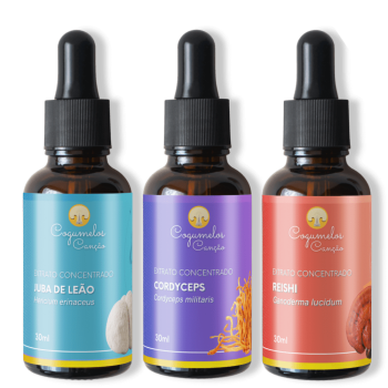 Imagem de Kit Bio Hacking: 1 Juba de Leão + 1 Cordyceps + 1 Reishi