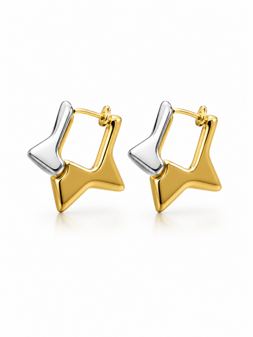 Imagem de Brinco Star Two Tone