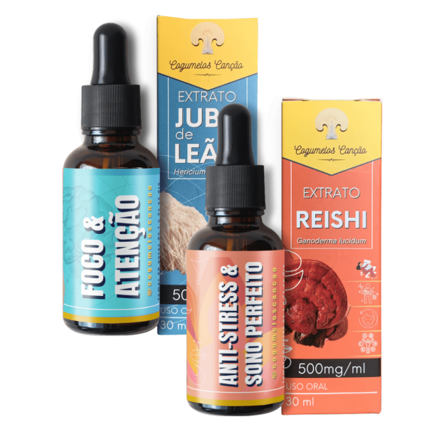 Imagem de Zen Focus: 1 Juba de Leão + 1 Reishi
