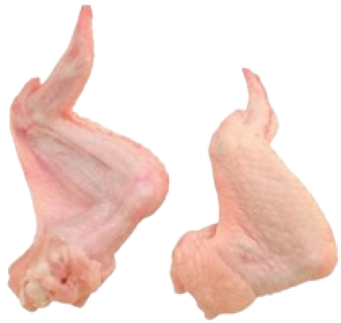 Imagem de https://cdn.interago.com.br/img/png/w_0_q_8/395/mc/Páginas/02. Produtos/Aves/Asa