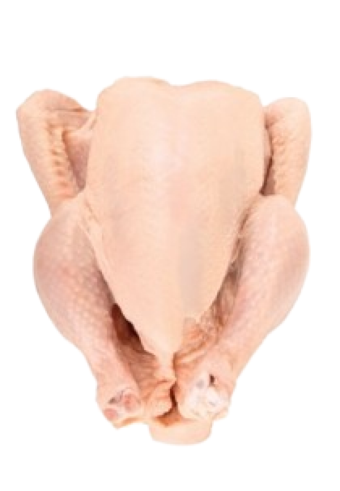 Imagem de https://cdn.interago.com.br/img/png/w_0_q_8/395/mc/Páginas/02. Produtos/Aves/Frango_Carcaça